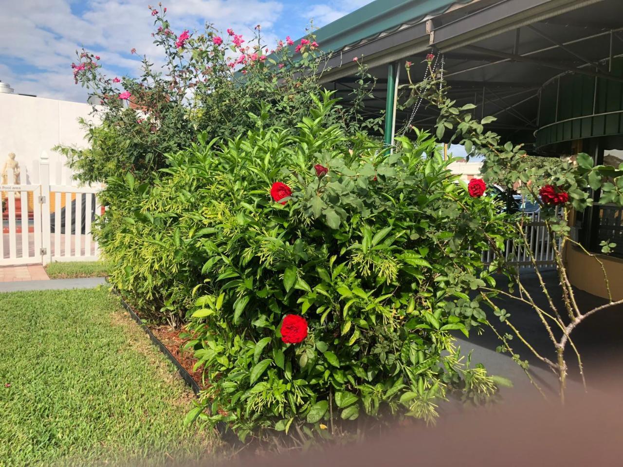 Bali Hai Motel Fort Lauderdale Luaran gambar